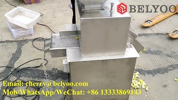 Lemon juice extracting machine/lemon juice squeezing machine/automatic lemon juice machine