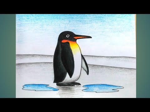 Penguin Drawing & Sketches for Kids - Kids Art & Craft