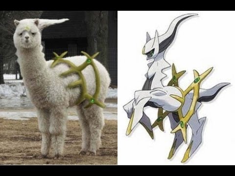 Pokemon 20th Anniversary Distribution - Arceus - August