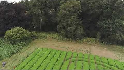 Testing the new flight modes in Anafi Firmware 1.6.0 - Parrot Anafi  Drone Footage