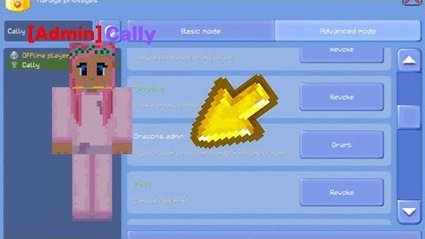 #Multicraft HOW TO GRANT PLAYERS ADMIN!