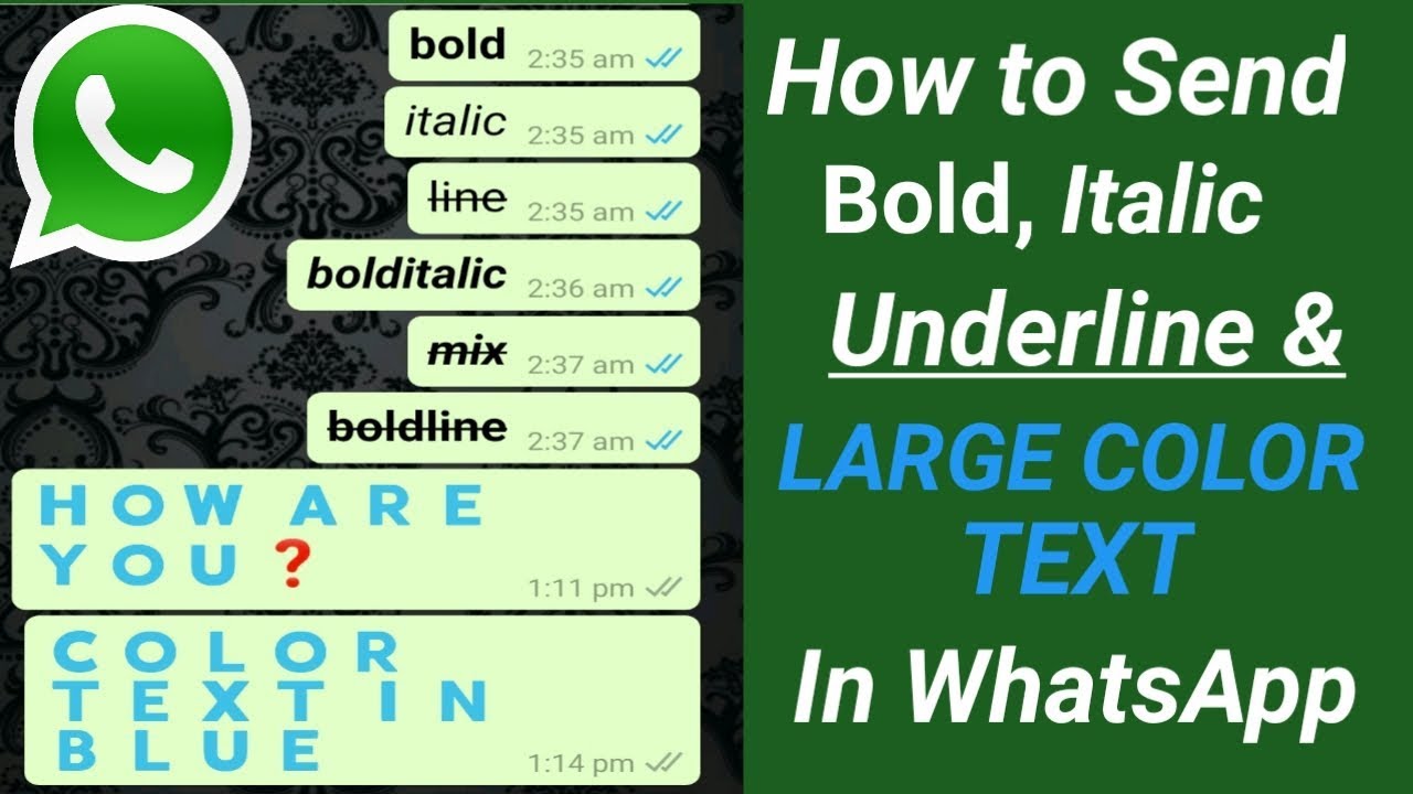 WhatsApp BOLD Text  How To Send WhatsApp messages in Bold Italic Texts &  Large Colour Texts