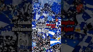 Schalke-Fans Übertrumpfen Hoffenheim-Fans In Nur 1 Spiel
