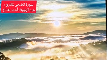 سورة الضحخى للقارئ : " عبد الرؤوف أحمد نعناع "