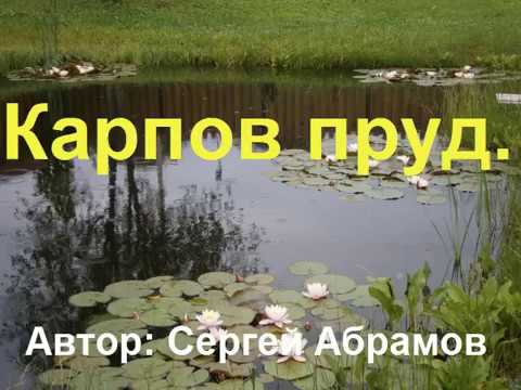 Видео: Карпов пруд.