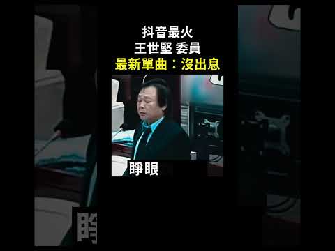 版大剪輯中文版 沒出息 正常版 台灣恰吉 王世堅 立法委員 正氣歌 勸世歌 世堅情 世間情 Chucky Good Boy 抖音金曲