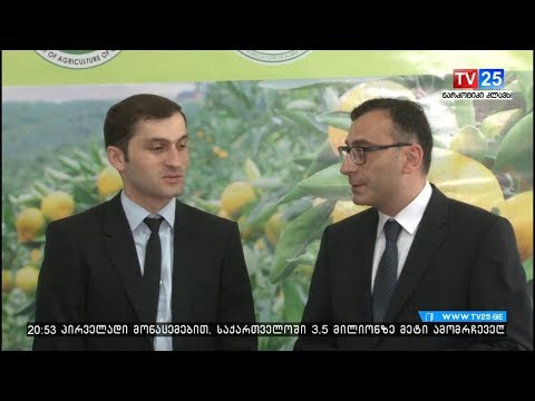 აჭარაში ციტრუსის საკოორდინაციო შტაბი გაიხსნა