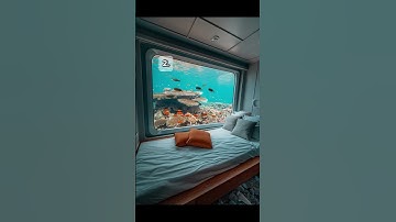 choose #vibe #vibes #relax #relaxingvideos 5