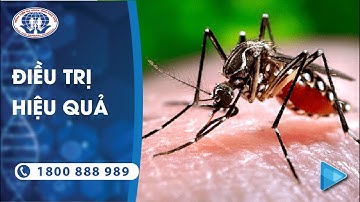 Hiểu rõ về sốt xuất huyết: triệu chứng, nguyên nhân và điều trị