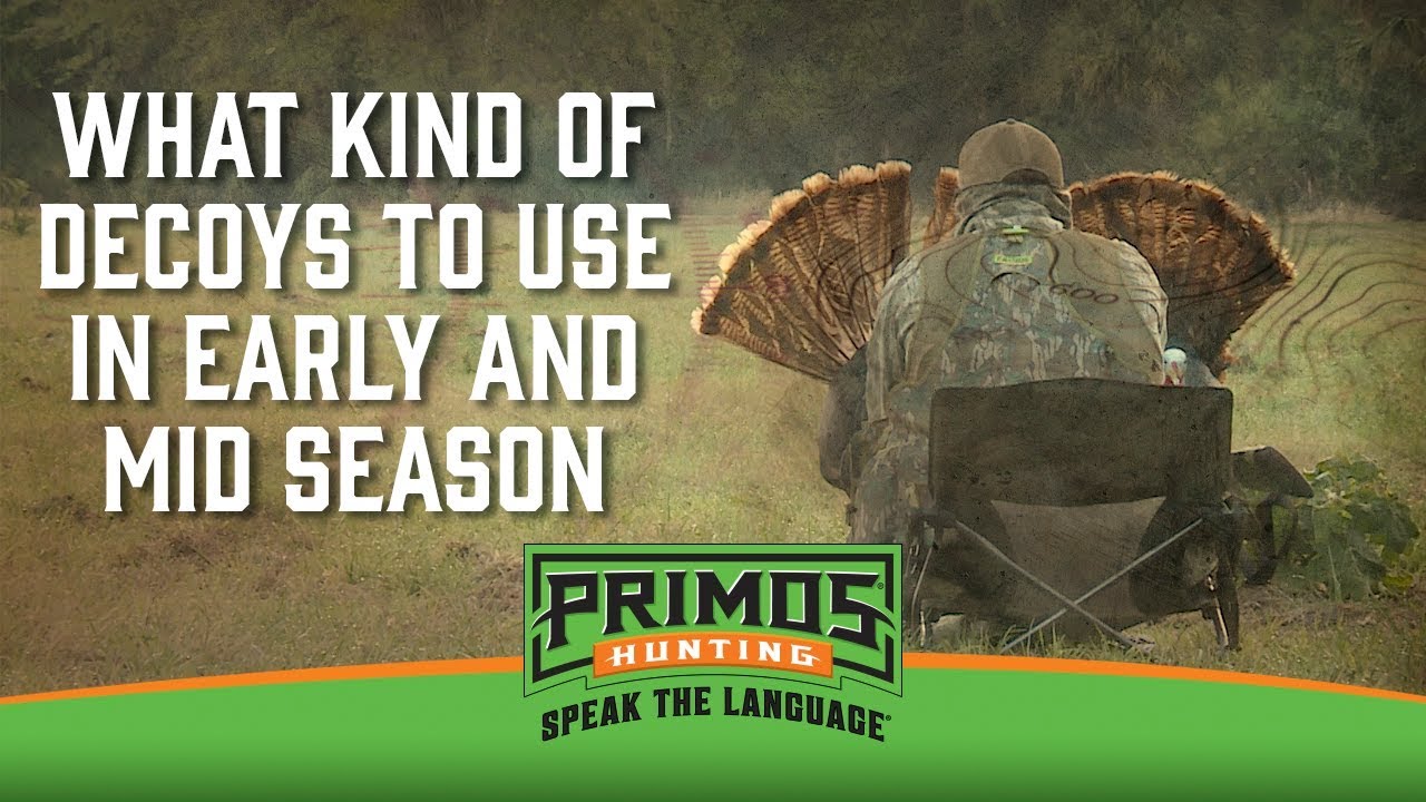 What Kind of Turkey Decoys to use in Early and MidSeason YouTube