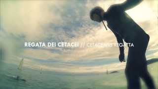 Regata dei Cetacei | Cetaceans Regatta - Coming Soon