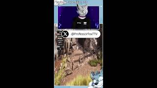feelin wheee 🦊18+🐾Expedition 33