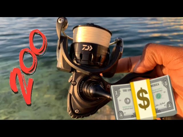 Best $200 Reel??? Daiwa Saltist Back Bay Best $200 Reel??? Daiwa Saltist Back Bay