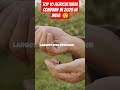 India ki top 10 sabse badi agricultural company #facts #shorts