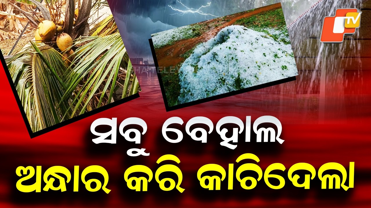 Special Story: Hailstorm & Storm Topple Tree on Bus with 40 Passengers as Ice Blankets Odisha Roads.