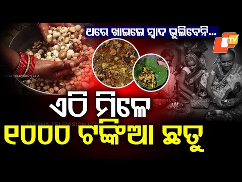 ହୋଟେଲ ସ୍ଵାଦ ବି ଫିକା ପଡ଼ିବ, କେବେ ଖାଇଛନ୍ତି ? Gaon Ru OTV | #malkanagiri #mushroom #special #trending
