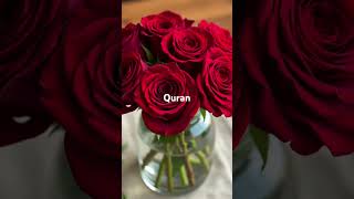 Alhamdurillah🌹🕋#music #electronicmusic #house music #edm  #islamic #dj #fanivideo #tareeqjamel #te