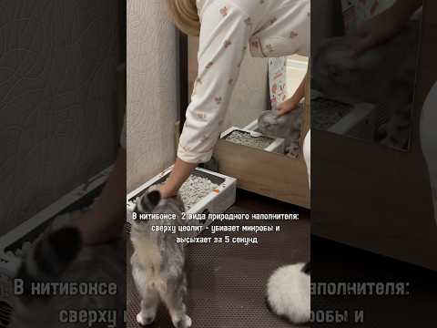 Кошачий лоток можно не мыть Да Ведь это Китибокс А еще не нужно менять и подсыпать наполнитель