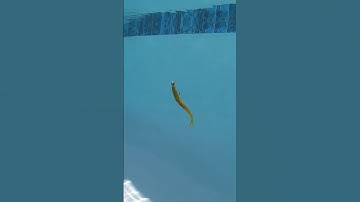 #1 Mistake When Rigging Soft Plastic Lures On Jigheads