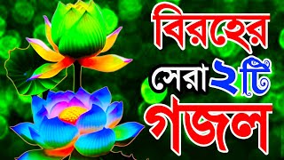 বিরহের সেরা দুইটি গজল very beautiful gojol ইছলামীক new gojol বাংলা নাতে রাসুল Islamic new Song