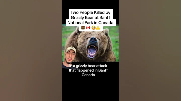 Two People Killed by Grizzly Bear at Banff National Park in Canada 🐻🇨🇦