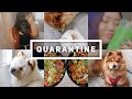 QUARANTINE LIFE W/ MY CHOW CHOW DOGS | + skincare unboxing &amp; surprising my fiancé |
