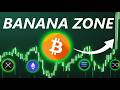 THE FINAL BANANA ZONE THE FINAL BANANA ZONE