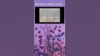 Dai syed-Agmal eyoun lirik