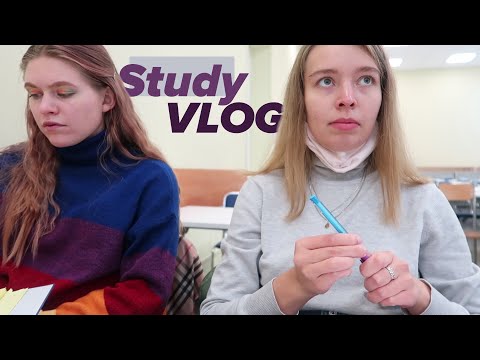 Study Vlog // Курсы по Английскому, Математика, Новая Традиция, Любимая Еда, Сборы в Ягодное