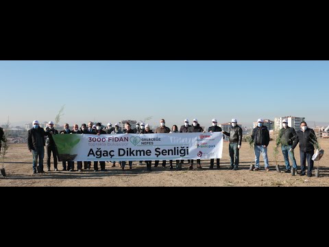 OSTİM OSB, OSTİM Teknik Üniversitesi ve Ostim Teknopark 3000 ağaç dikti