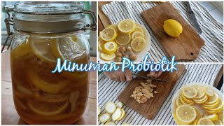 Membuat Minuman Sehat || Minuman Probiotik Madu, Lemon, & Jahe