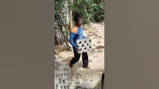 di muattt bolokuuuuu papegggg halamaneeee 50 mtr
