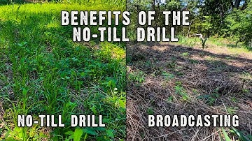 Best way to plant a food plot?  Broadcasting vs Drilling
