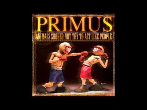 Primus Pilcher’s Squad