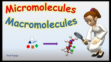 Micromolecules And Macromolecules Updated