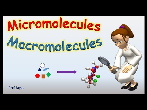 Micromolecules এবং Macromolecules আপডেট করা হয়েছে