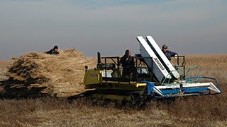 Reed Harvesting System - Wetland Tractor - Softrak 120