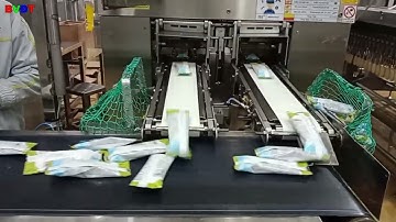 Rotary Knife - Synchronous control | motion | Application - Flying Shear Rotary Knife