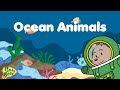 Amazing Ocean Life: Meet the Creatures of the Deep