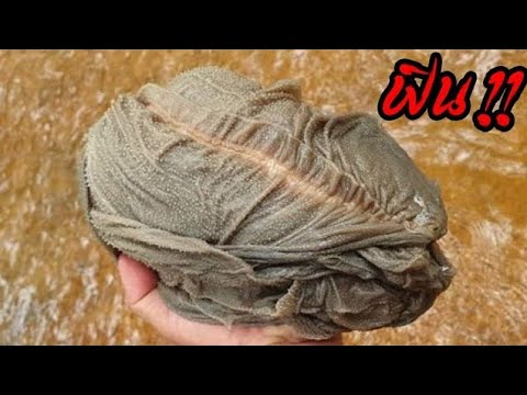 ผลสลากกินแบ่งรัฐบาล วันที่ 1 พย. 2567