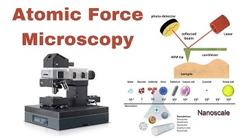 Atomic Force Microscopy: A Beginner