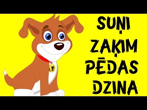 Video: Kā suņi izvēlas draugus?