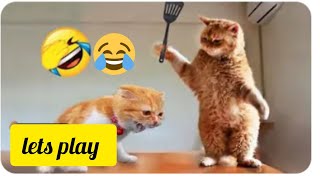 Best Funny Animal Videos Of The 2023 🤣 - Funniest Cats And Dogs Videos battle arena the hilarious 😸😻