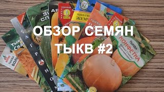 Обзор сортов семян тыкв #2