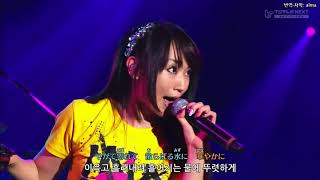 Nana Mizuki x T M Revolution - Preserved Roses live chords