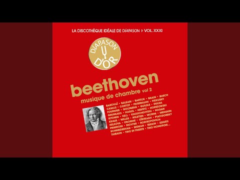 Mira Violin Sonata No. 4 in A Minor, Op. 23: III. Allegro molto en YouTube