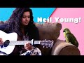 My parrot sings neil young with me  needle and the damage done cover