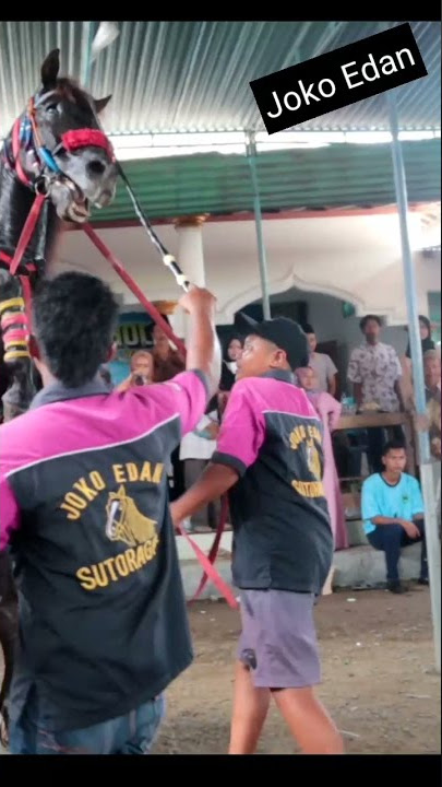 Atraksi Kuda Joko Edan | Arak Arakan Khataman