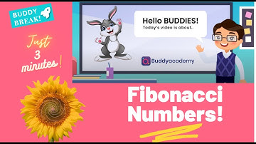 Rabbit and Sunflower with Math? | Fibonacci Numbers | Buddy Break | Buddyacademy