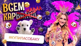 КАРНАВАЛ || КАРАОКЕ С ПЕДАНОМ || ЗАВЕЛА ДРУГА